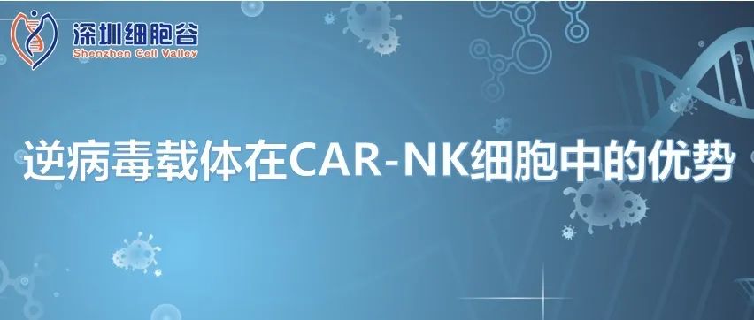 逆病毒载体在CAR-NK细胞中的优势