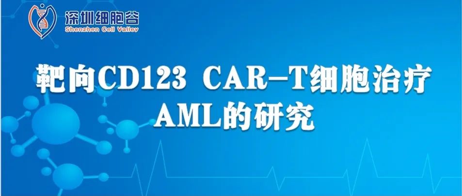 靶向CD123 CAR-T细胞治疗AML的研究