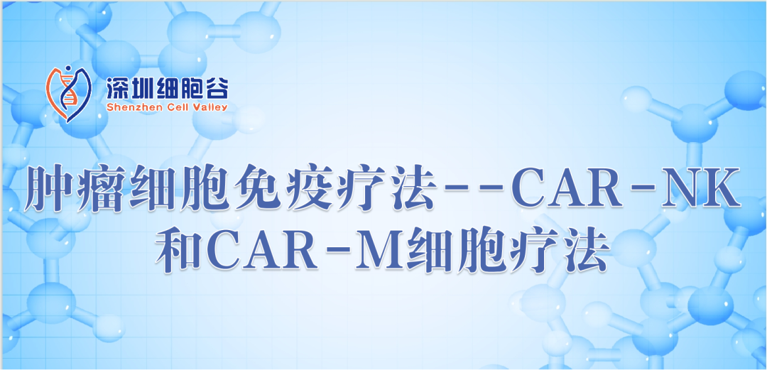 肿瘤细胞免疫疗法--CAR-NK和CAR-M细胞疗法