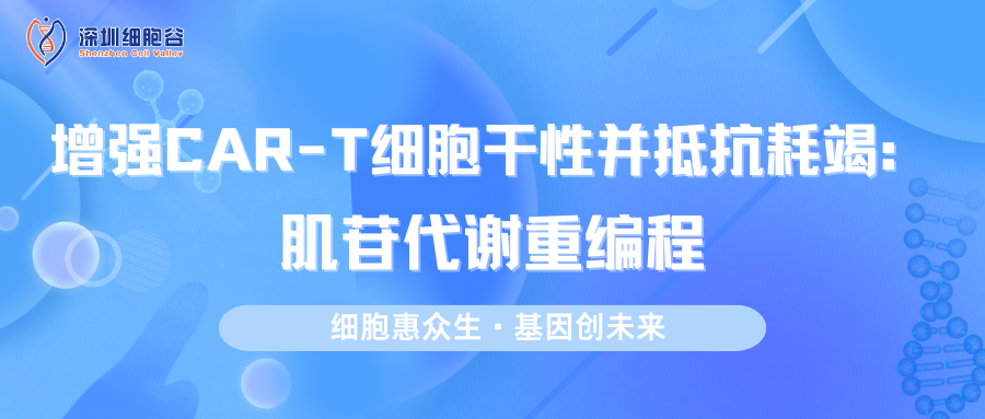 增强CAR-T细胞干性并抵抗耗竭：肌苷代谢重编程