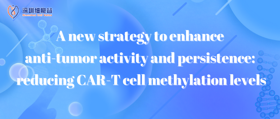 A new strategy to enhance anti-tumor activity and persistence: reducing CAR-T cell methylation level