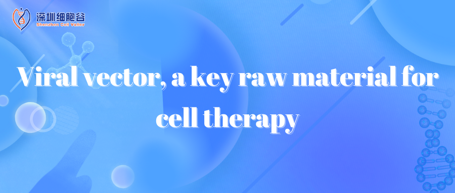 Viral vector, a key raw material for cell therapy