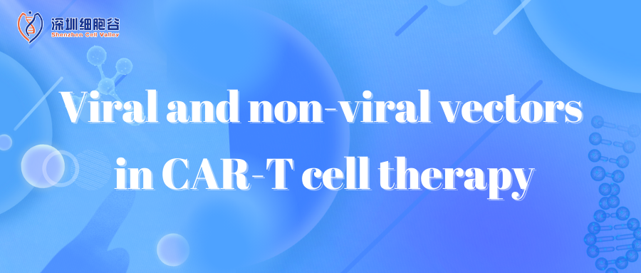 Viral and non-viral vectors in CAR-T cell therapy