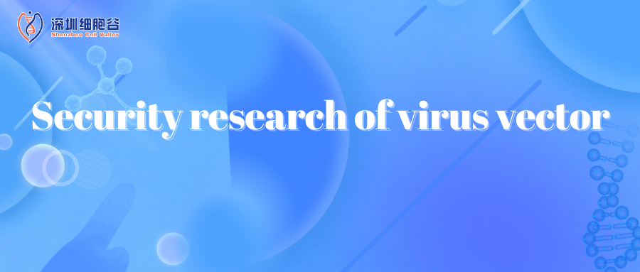 Security research of virus vector