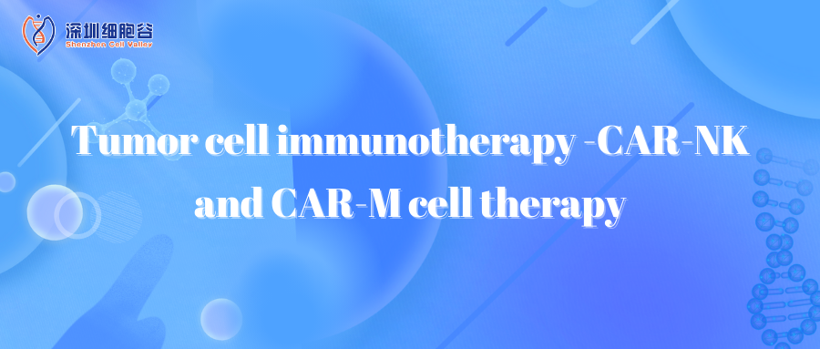 Tumor cell immunotherapy -CAR-NK and CAR-M cell therapy