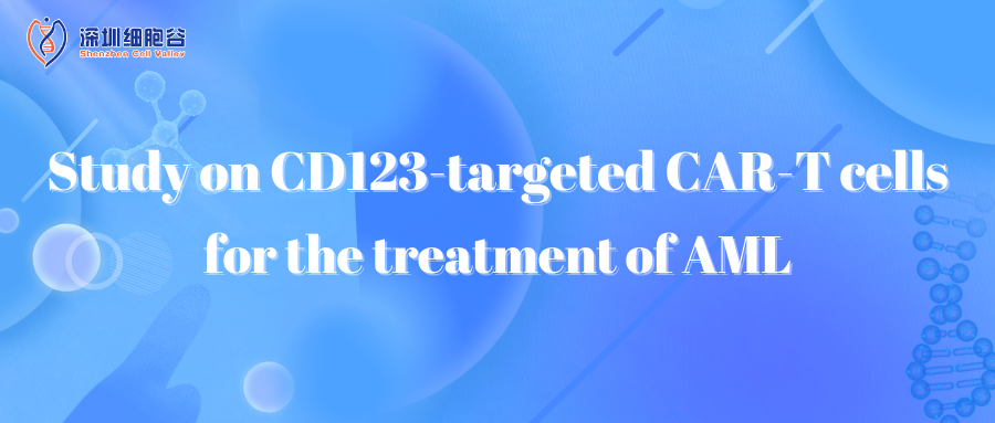 Study on CD123-targeted CAR-T cells for the treatment of AML