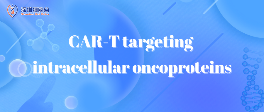  CAR T targeting intracellular oncoproteins