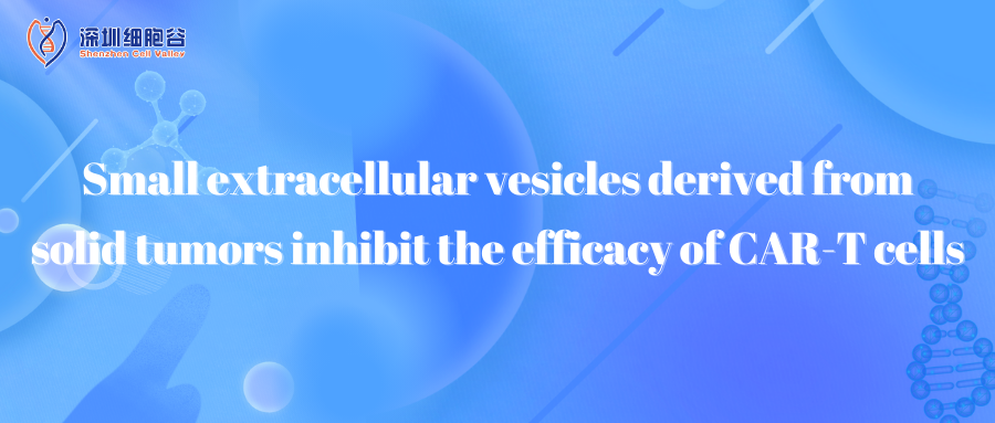 Small extracellular vesicles derived from solid tumors inhibit the efficacy of CAR-T cells