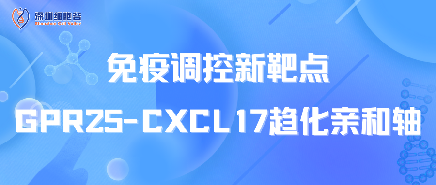 免疫调控新靶点：GPR25-CXCL17趋化亲和轴