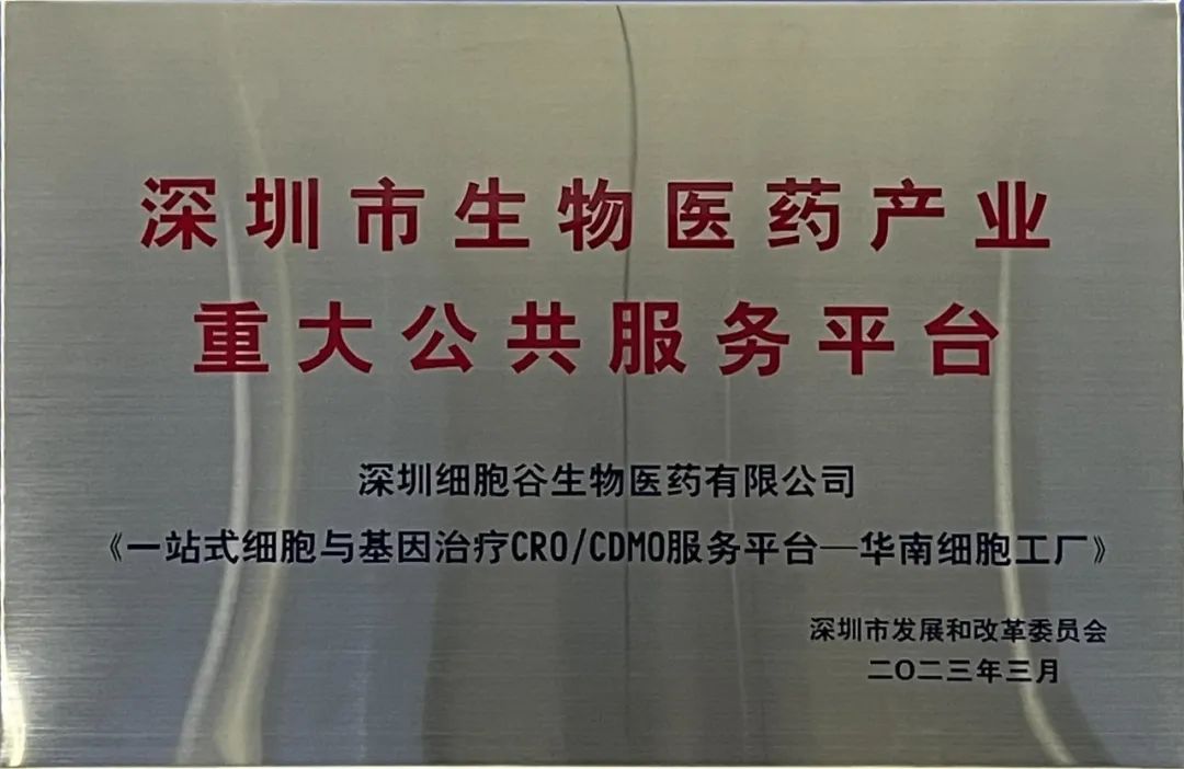 Looking back and looking forward, building dreams | Shenzhen Cell Valley 2023 corporate events