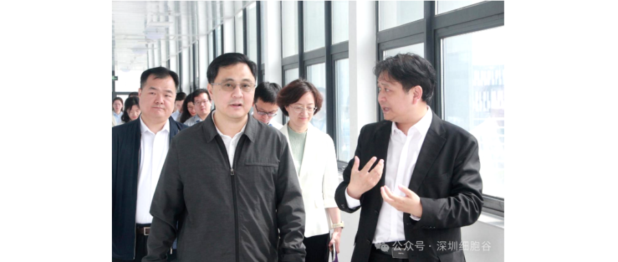 深圳市科创局张林局长一行调研深圳细胞谷