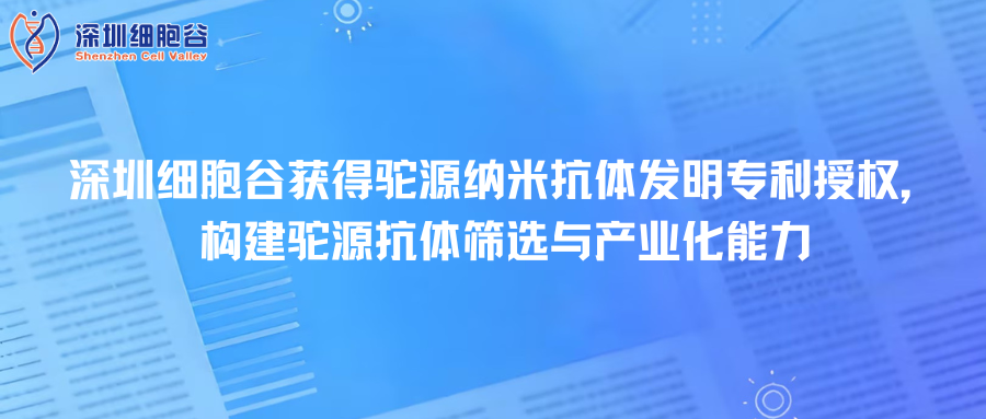 深圳细胞谷获得驼源纳米抗体发明专利授权，构建驼源抗体筛选与产业化能力