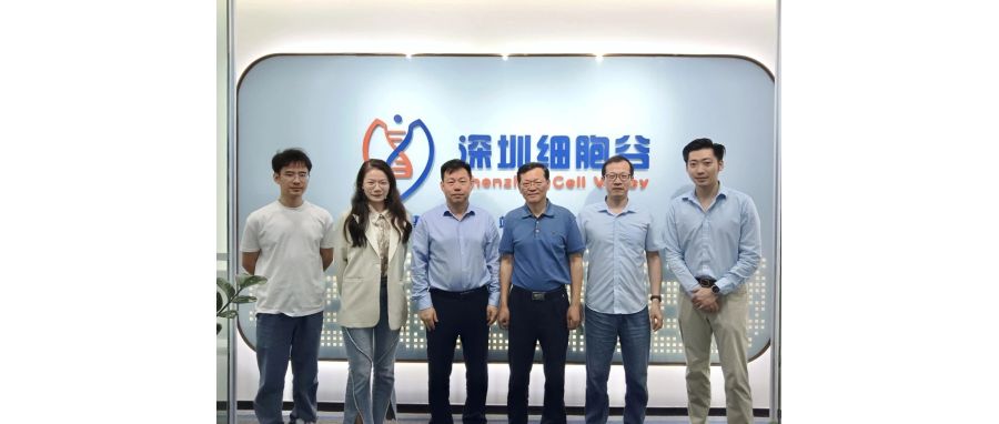 空军军医大蒋建利教授团队莅临深圳细胞谷，共探细胞治疗合作新方向