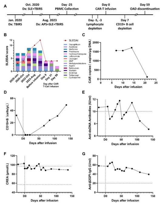 1774257916.png 图片.png