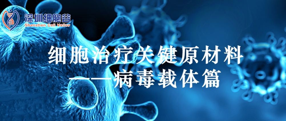 科研赋能|细胞治疗关键原材料——病毒载体篇