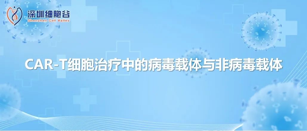 科研赋能|CAR-T细胞治疗中的病毒载体与非病毒载体