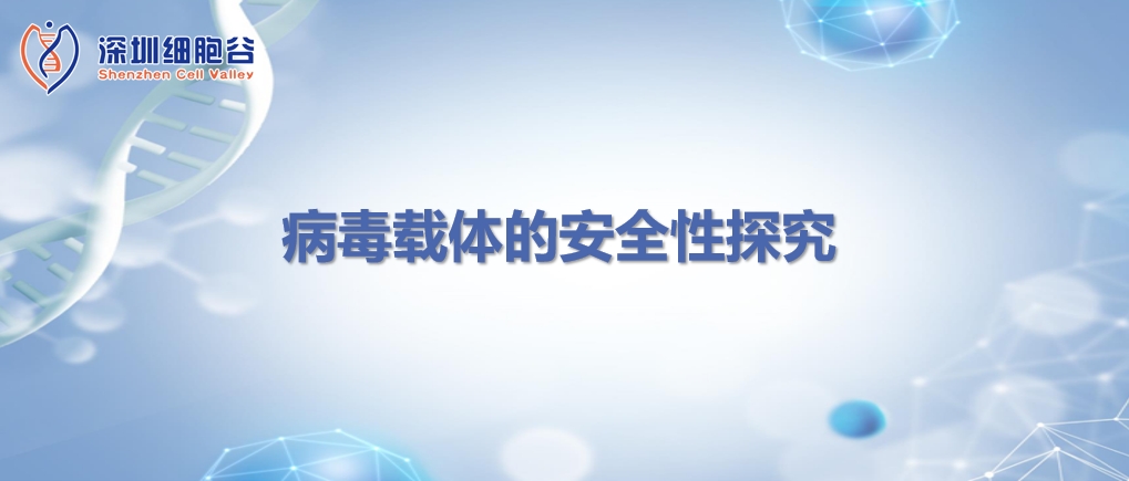 科研赋能|病毒载体的安全性探究