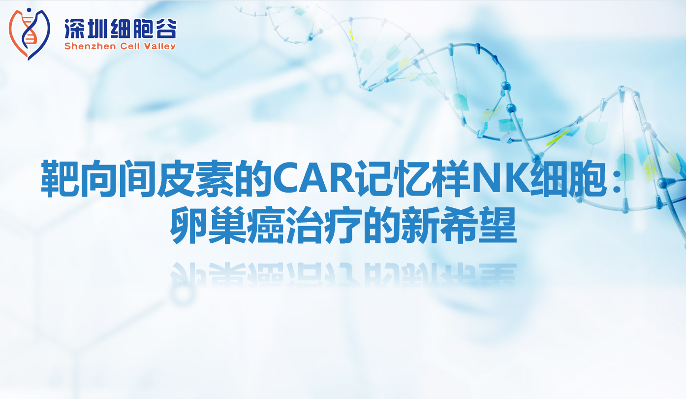 科研赋能|靶向间皮素的CAR记忆样NK细胞：卵巢癌治疗的新希望