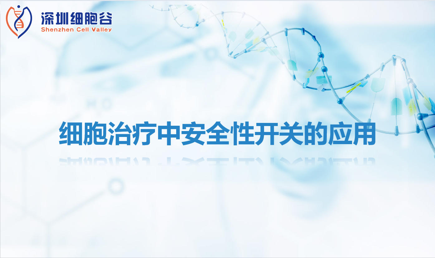 科研赋能|细胞治疗中安全性开关的应用