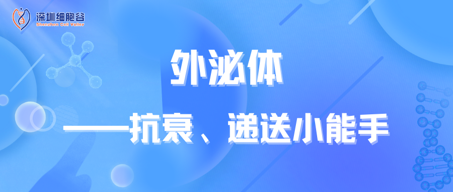知识科普|外泌体——抗衰、递送小能手