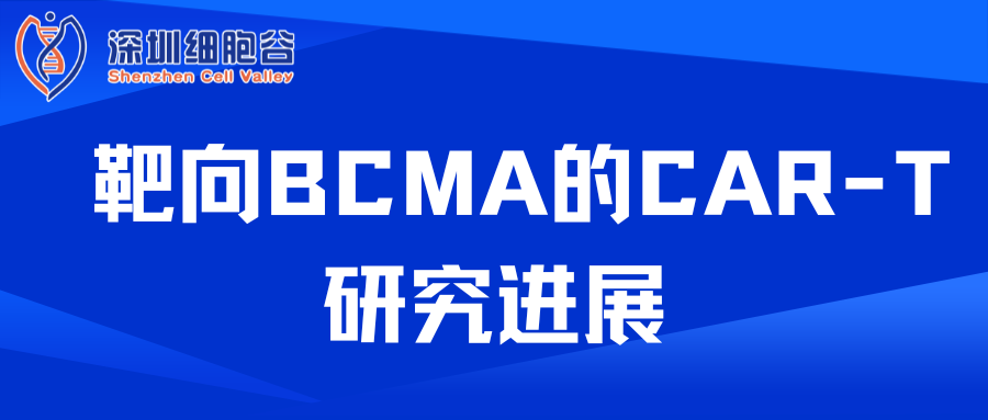 知识科普 | 靶向BCMA的CAR-T研究进展