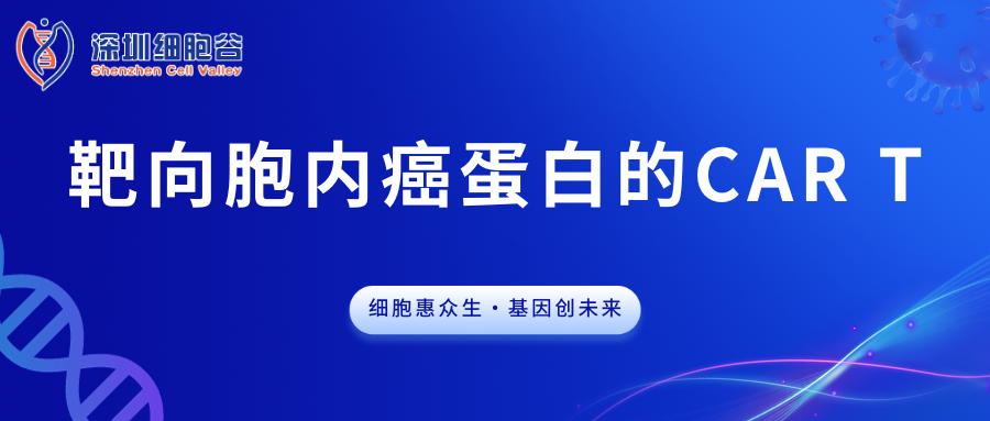 文献分享|靶向胞内癌蛋白的CAR T