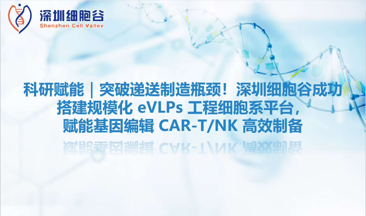 科研赋能｜突破递送制造瓶颈！深圳细胞谷成功搭建规模化 eVLPs 工程细胞系平台，赋能基因编辑 CAR-T/NK 高效制备