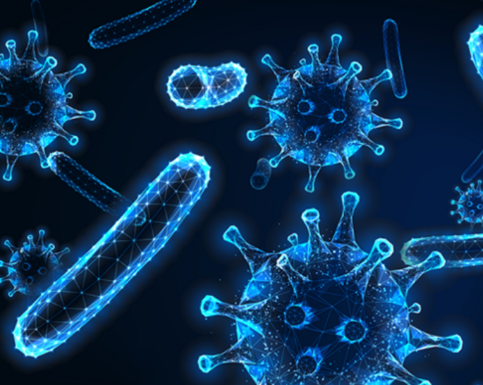 Non-Viral Vectors