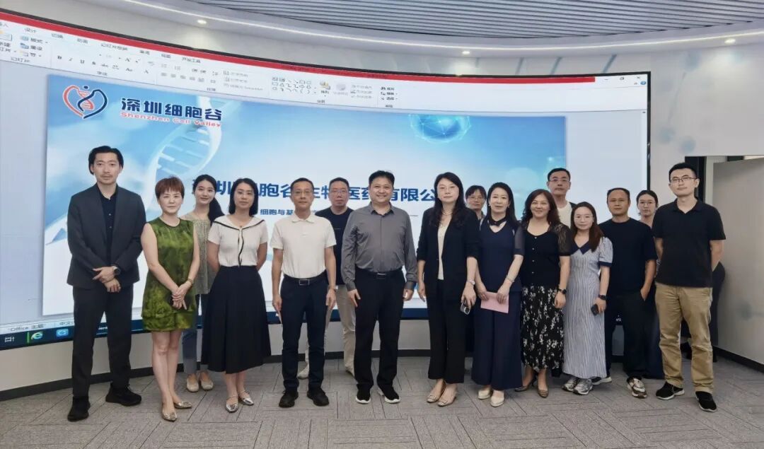 深化院企合作 赋能临床转化｜宝安区人民医院到访深港细胞谷合作交流