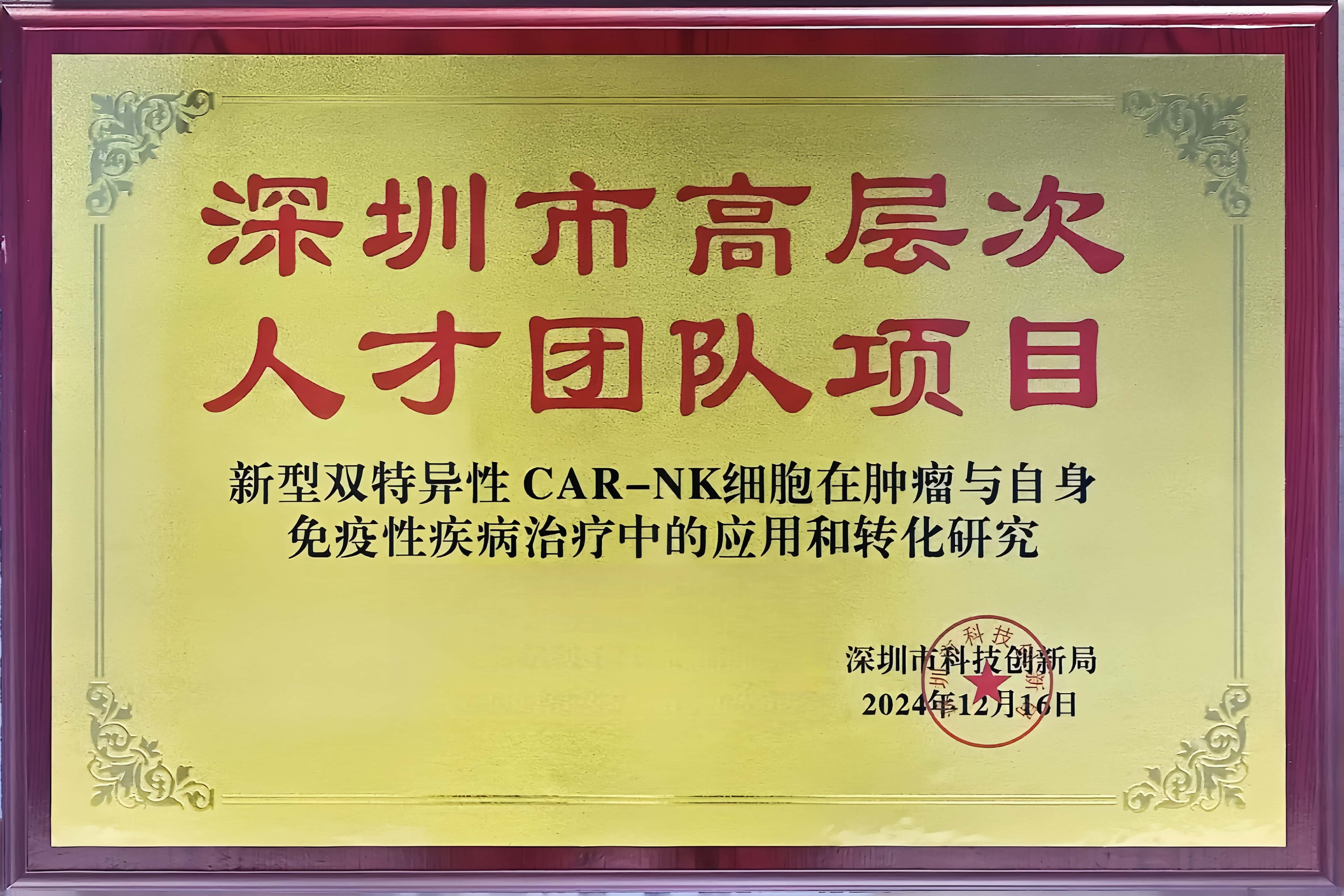 深圳市高层次人才团队项目