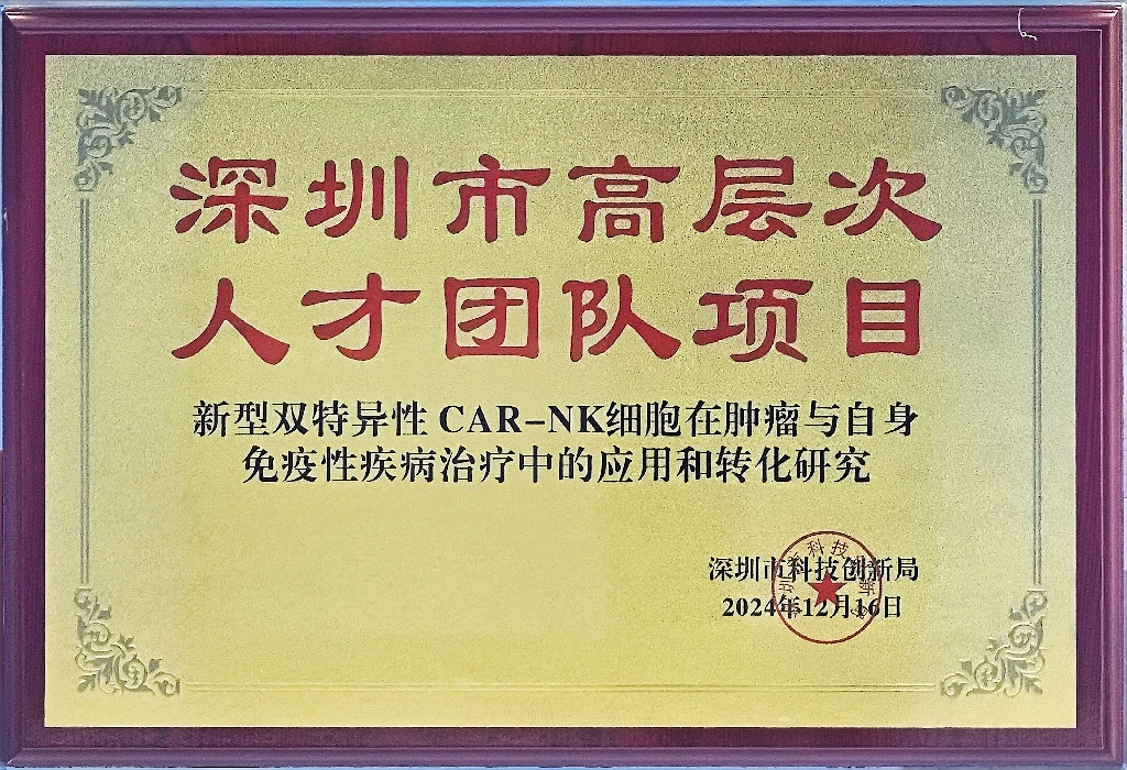 深圳市高层次人才团队项目